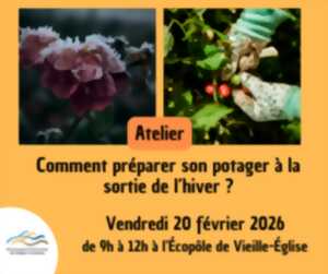photo Comment préparer son potager à la sortie de l’hiver  ?