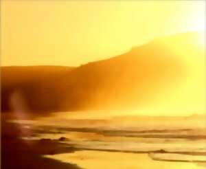 photo Exposition de photographies