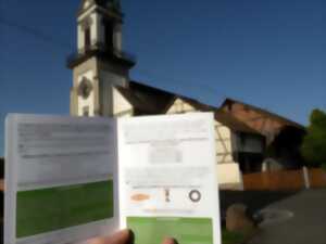 photo Les mystères du Ried : Mussig