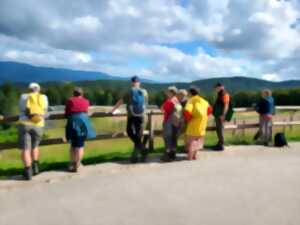 photo Sentiers Plaisir : Le camp de concentration de Natzweiler et l'Alsace