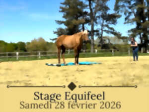 photo Stage Equifeel