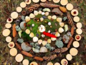 photo Atelier : mandala nature