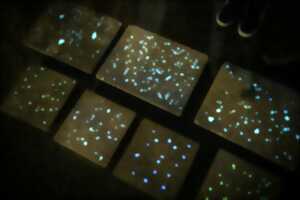 photo Visite insolite 