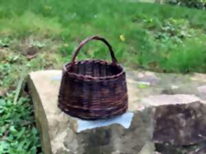 photo Stage de vannerie : panier rond