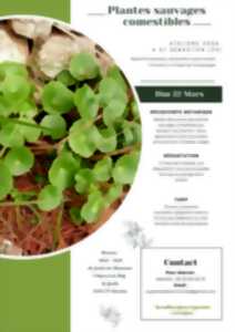 photo Atelier Plantes sauvages comestibles