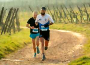 photo Trail du Vieil Armand