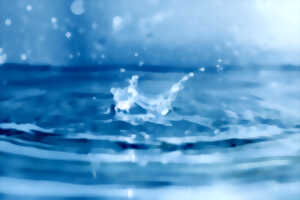 Les jeudis de l'écologie - L’eau, notre bien commun