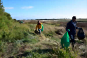 photo Chantier de nettoyage havre de Surville