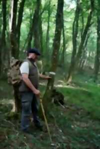 photo Balade nature - Promenons-nous dans les bois…