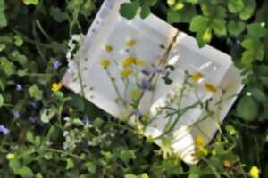 photo Apprendre à reconnaître les arbres et fabriquer son herbier
