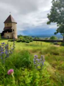 Visites guidées  - portes ouvertes au Château de Chevreaux