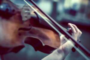 photo L'âme du violon