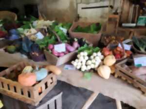 photo Les jardins de Brenne