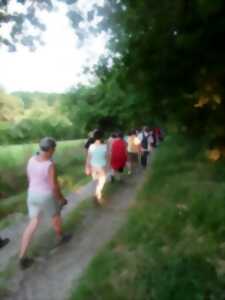 photo Marche nordique