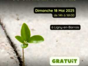 photo Sortie nature - La nature là où on ne la voit pas