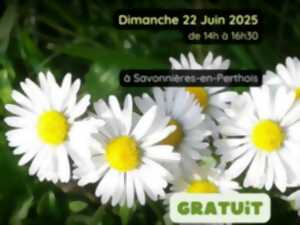 photo Sortie nature - Causerie botanique