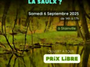 photo Sortie nature - Où est passée la Saulx ?