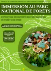 Immersion au parc national des forêts
