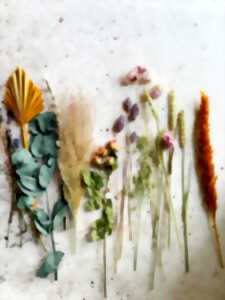 photo LES ATELIERS FLEURS SÉCHÉES