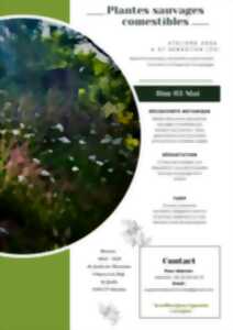 photo Atelier Plantes sauvages comestibles