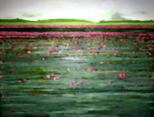 photo Exposition de peintures et photographies