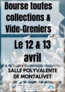 Vide Grenier, bourse toutes collections