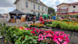 photo 50 nuances de Jardins - Marché aux plants, graines et arbustes