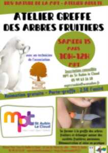 photo Rendez-vous nature : Atelier greffe d'arbres fruitiers