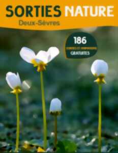 SORTIES NATURE : DÉCOUVERTE DES OISEAUX DU BOIS POUVREAU