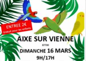 Bourse aux oiseaux