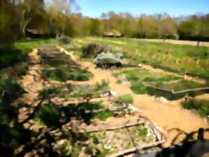 photo Rendez-vous nature : Secrets et vertus des plantes