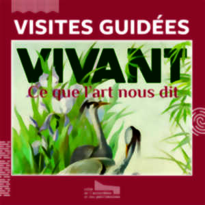 photo Cité de l'accordéon et des patrimoines : visite guidée exposition