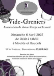 Vide-grenier