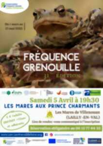 Animation : Les mares aux princes charmants