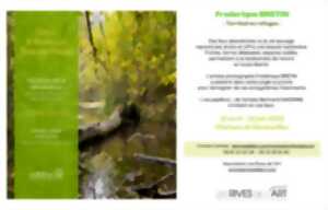 photo Les Rives de l'Art | Frédérique Bretin : Territoires refuges