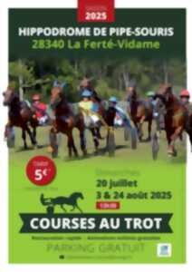 photo Courses hippiques