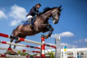 photo Le Trophée des Rois - Concours de saut d'obstacles
