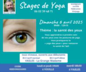 photo Stage de yoga - Comment préserver ses yeux et sa vue