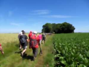 photo Les Randonnées pour la Paix - Randonnée N°2 (11km)