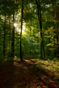 photo Sortie nature