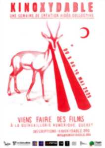 photo Kinoxydable : une semaine de création vidéo collective