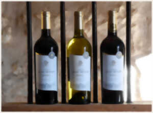 photo Dégustation de vin