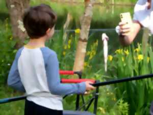 Concours de Pêche, enfants de moins de 12 ans, Lâcher de truites
