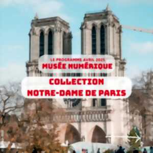 photo Collection Notre Dame de Paris