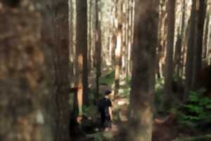 photo Mémoire d'un garde forestier à la retraite