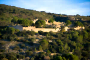 photo LES VISITES UNSOLITES - MONTPEYROUX
