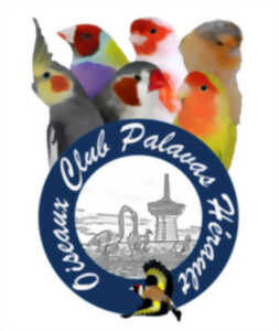 photo CONCOURS INTERNATIONAL DE L'OISEAU CLUB PALAVAS HÉRAULT