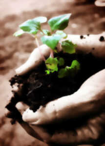 photo Les mains dans la terre