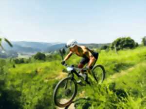 photo Ultra Raid VTT