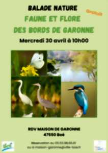 photo Balade nature